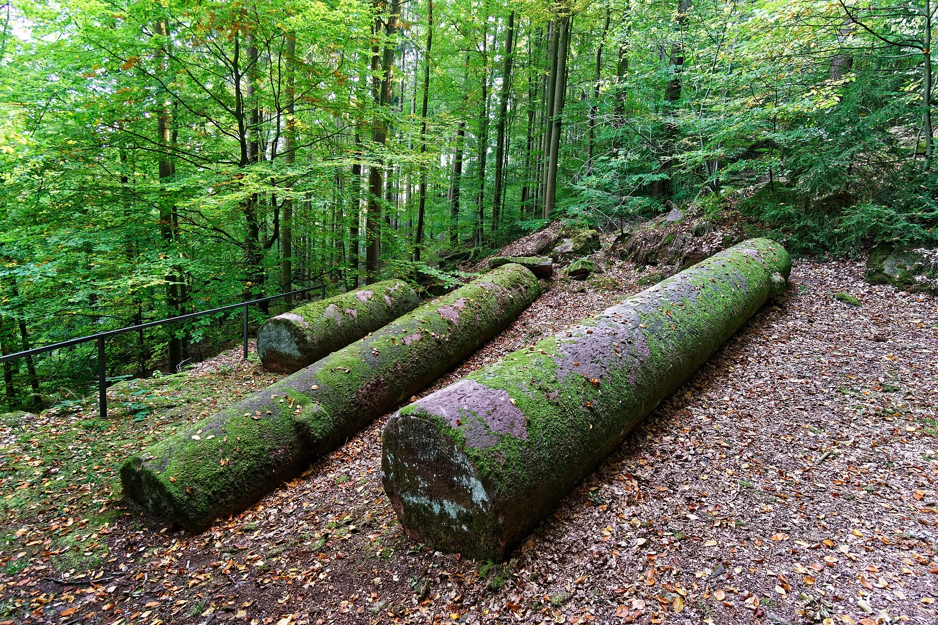 Parks & Natur