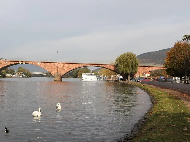 Mainbrücke Miltenberg