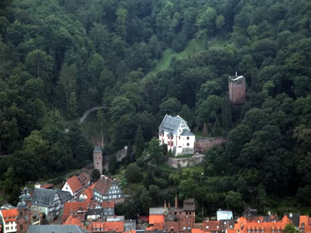 Mildenburg