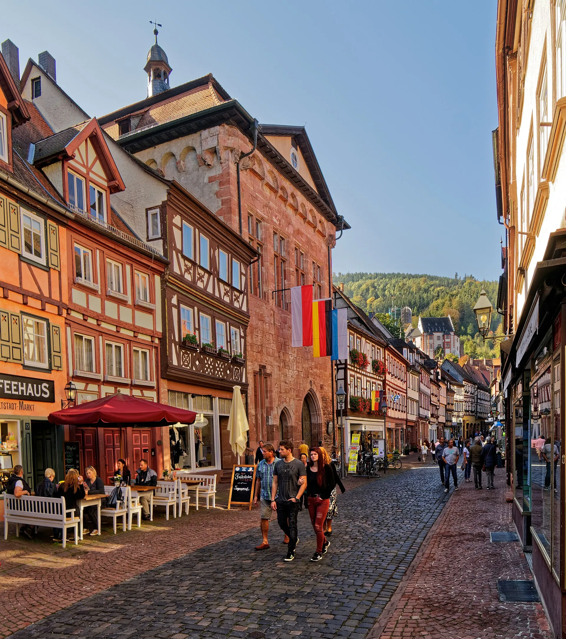Historische Altstadt und Mildenburg