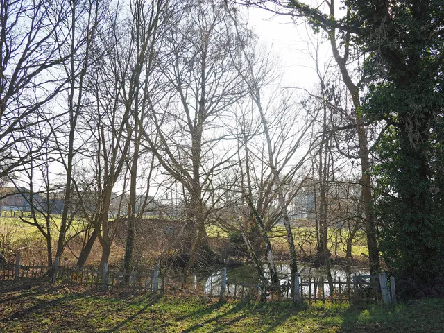 Naturschutzgebiet Niep