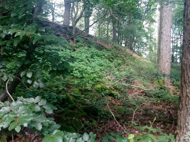 Ringwall Greinberg