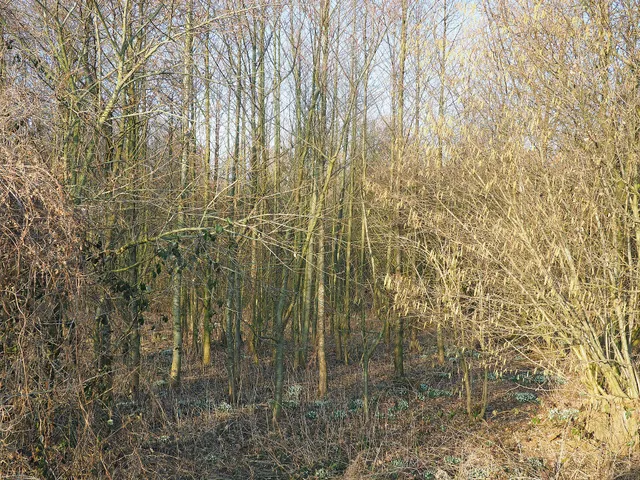 Naturschutzgebiet Schlootkuhlen