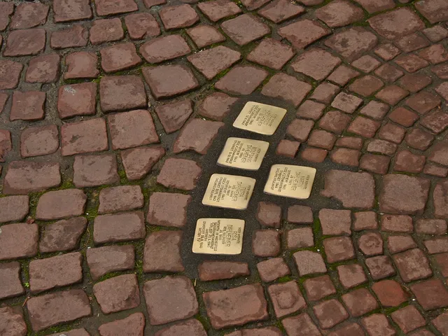 Stolpersteine in Miltenberg
