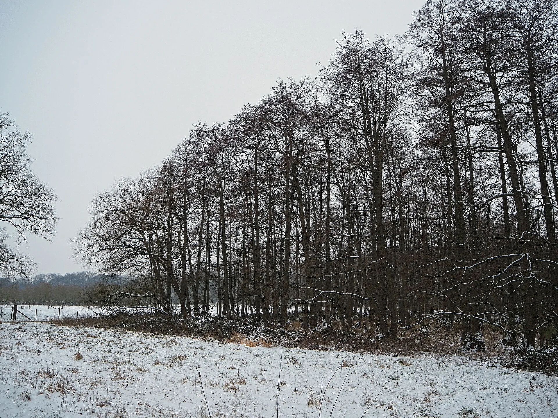 Parks & Natur