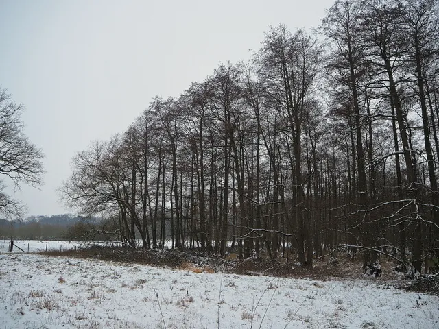 Naturschutzgebiet Tote Rahm