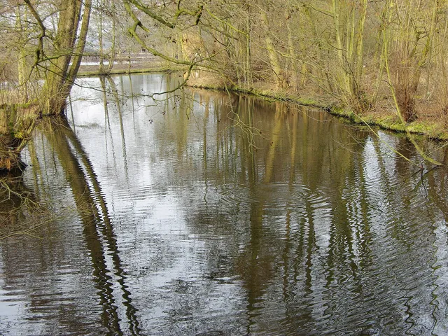 Nette (Niers)