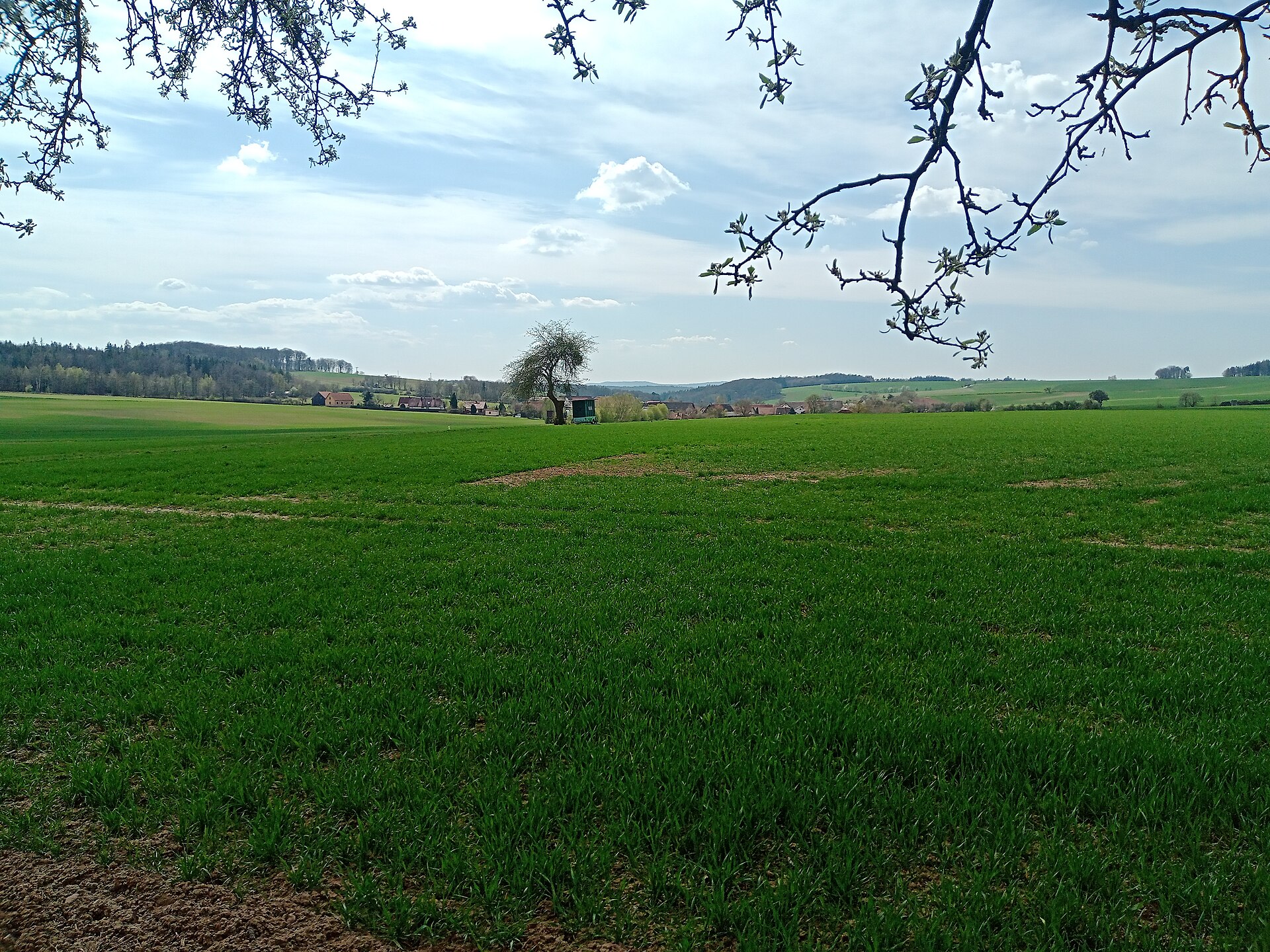 Wenschdorf
